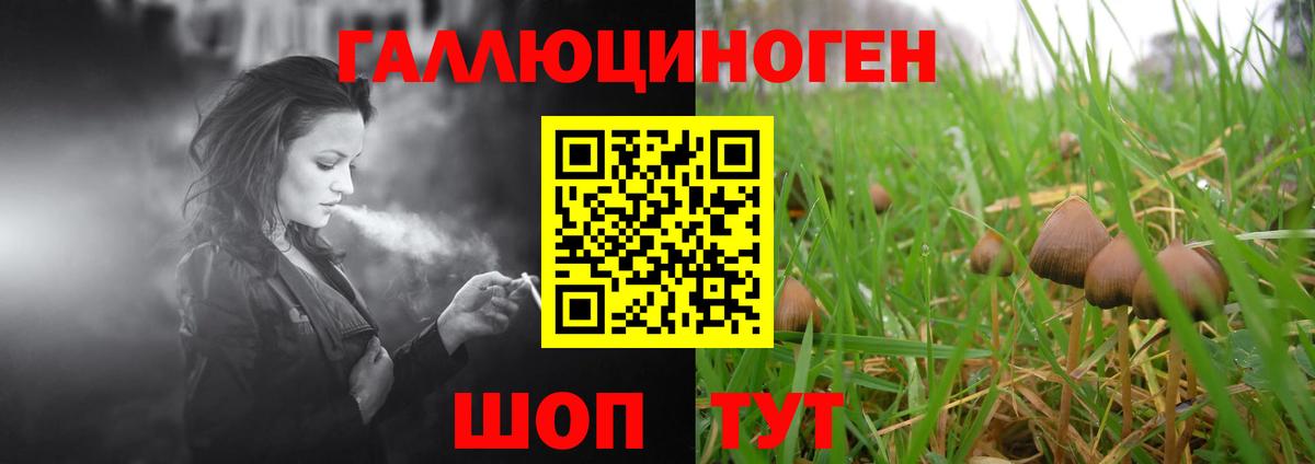 Галлюциногенные грибы GOLDEN TEACHER Вязьма